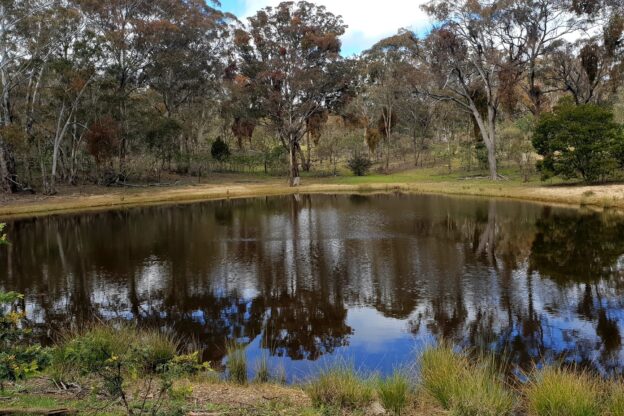 Property for sale in Carwoola NSW