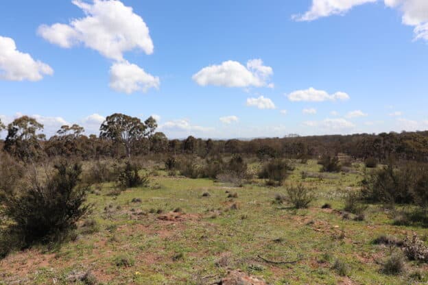 Land for sale in Gundaroo NSW