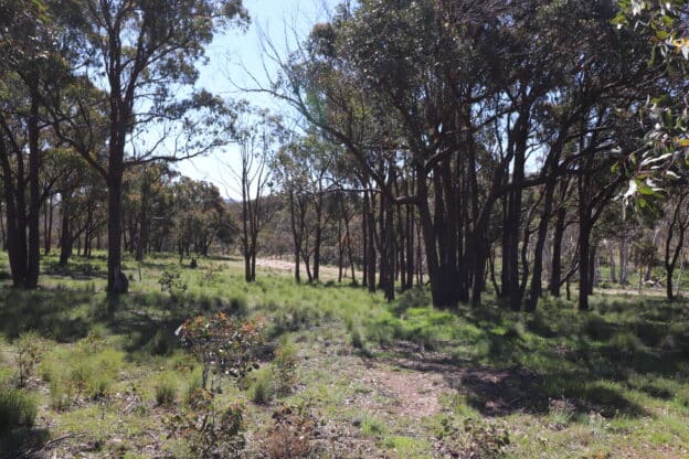 Land for sale in Lake George NSW