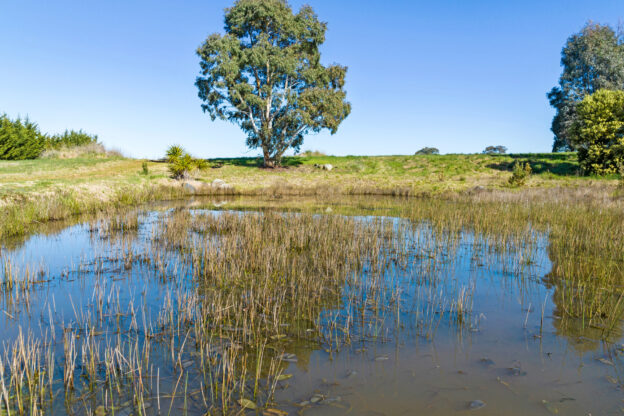 Land for sale in Murrumbateman NSW